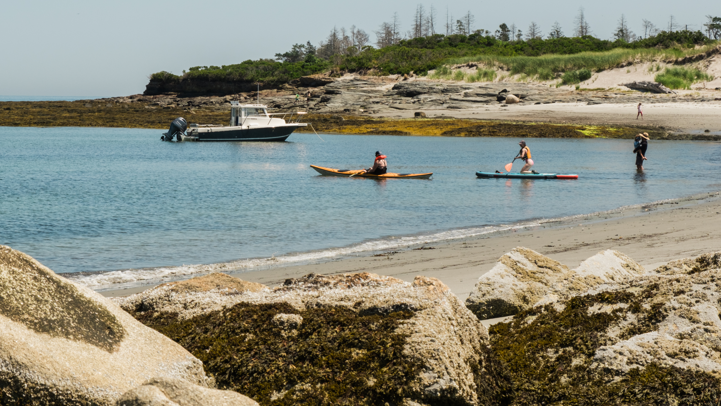 People kayaking and paddleboarding in a calm bay near a rocky beach in Portland Maine.