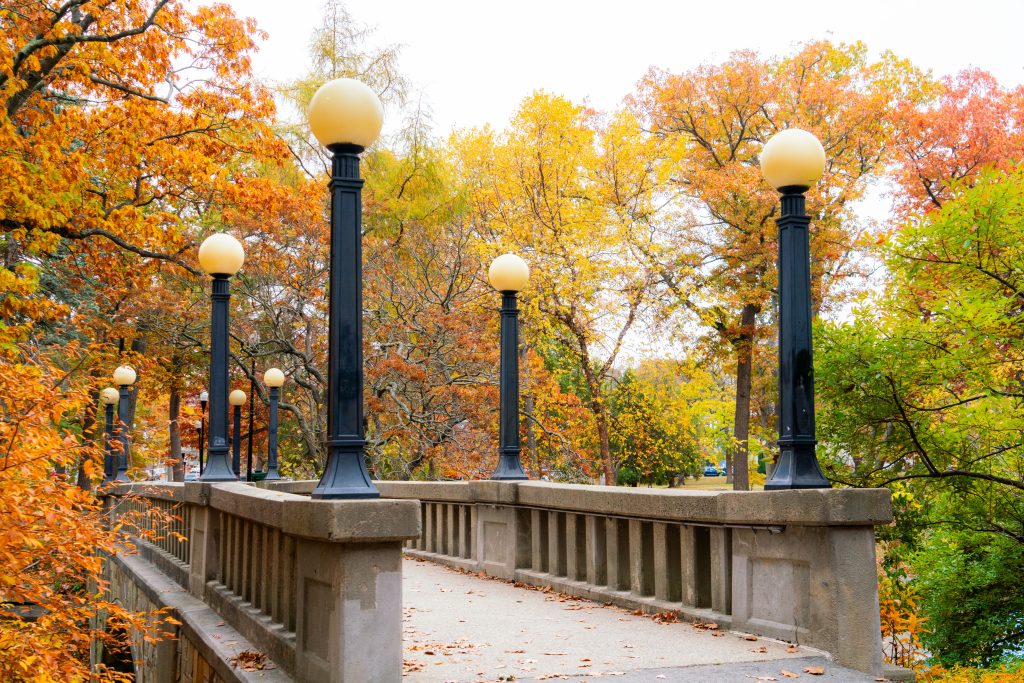 Stone Bridge in Deering Oaks Park. Photo credit: Avery Lehman