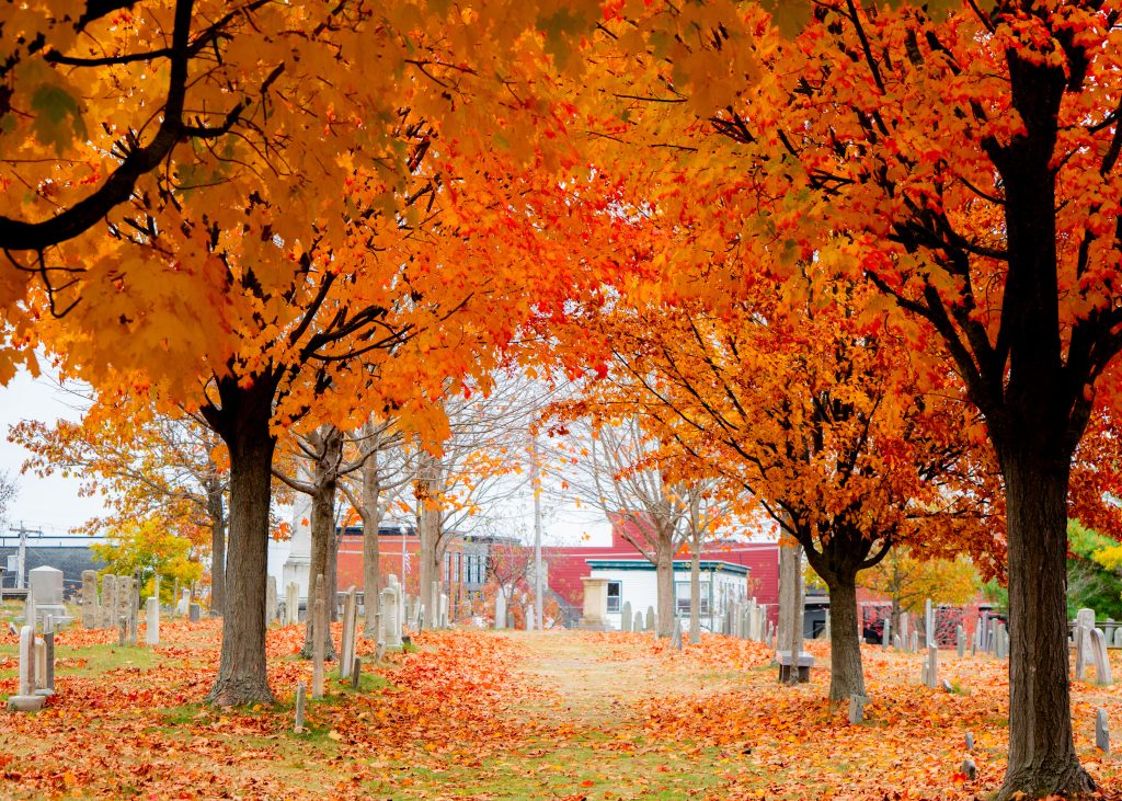 Eastern Cemetery in the fall. Photo credit: Avery Lehman