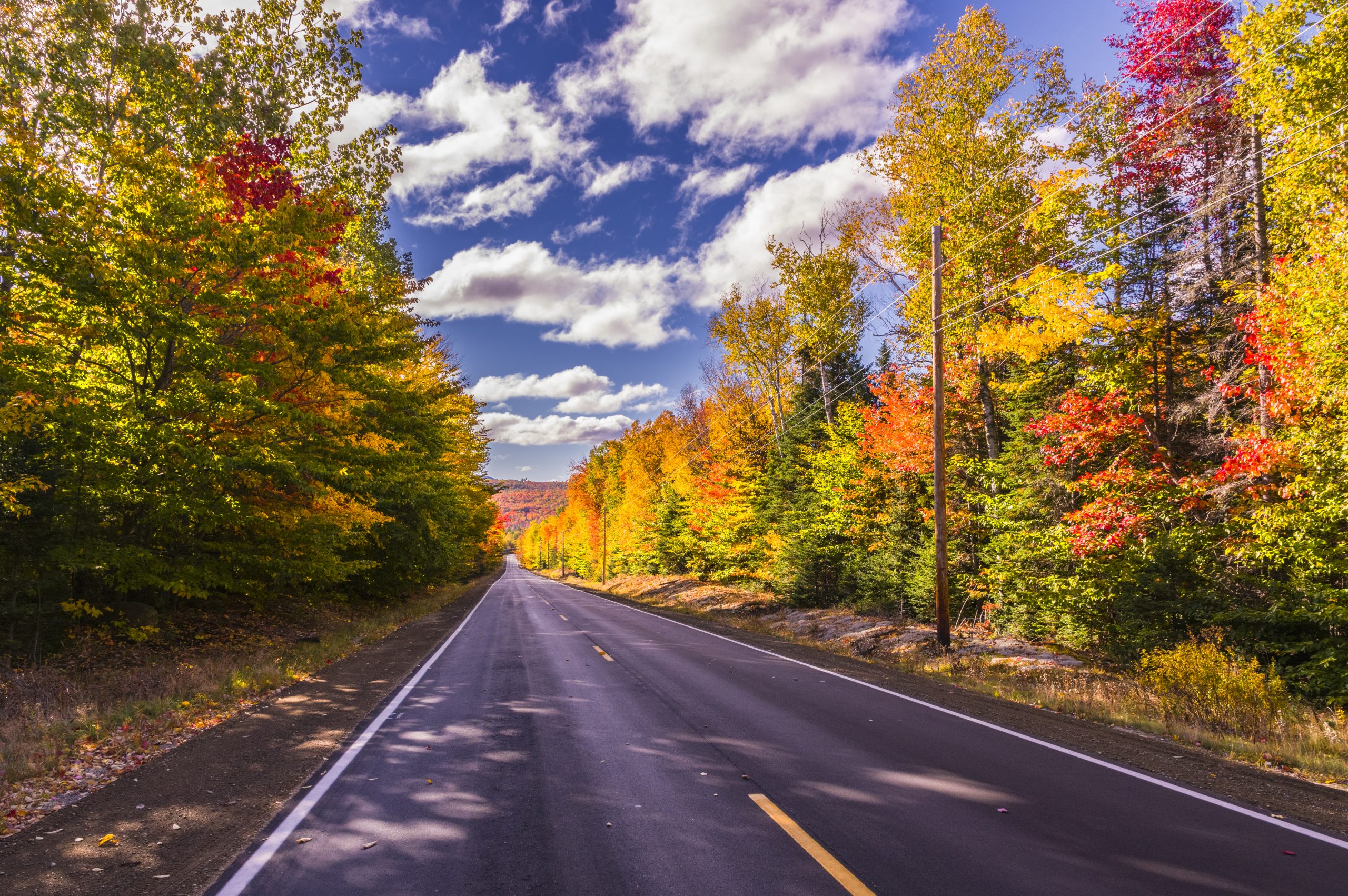 A scenic road stretches through a forest with vibrant autumn foliage under a blue sky in Maine. Photo Credit: Maine Office of Tourism
