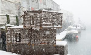 15% off gift cards - Photo Credit: Stock photo purchased from iStock