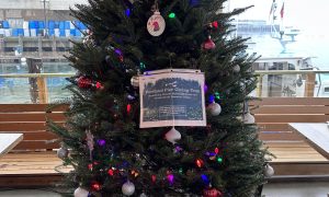 Portland Pier Giving Tree - Photo Credit: Luke's Lobster