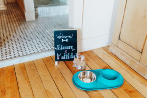 A Dog-Friendly Getaway - Photo Credit: Tracy Orzel A Dog-Friendly Getaway - Photo Credit: Tracy Orzel