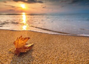 Fall for the Alouette! - Photo Courtesy of Alouette