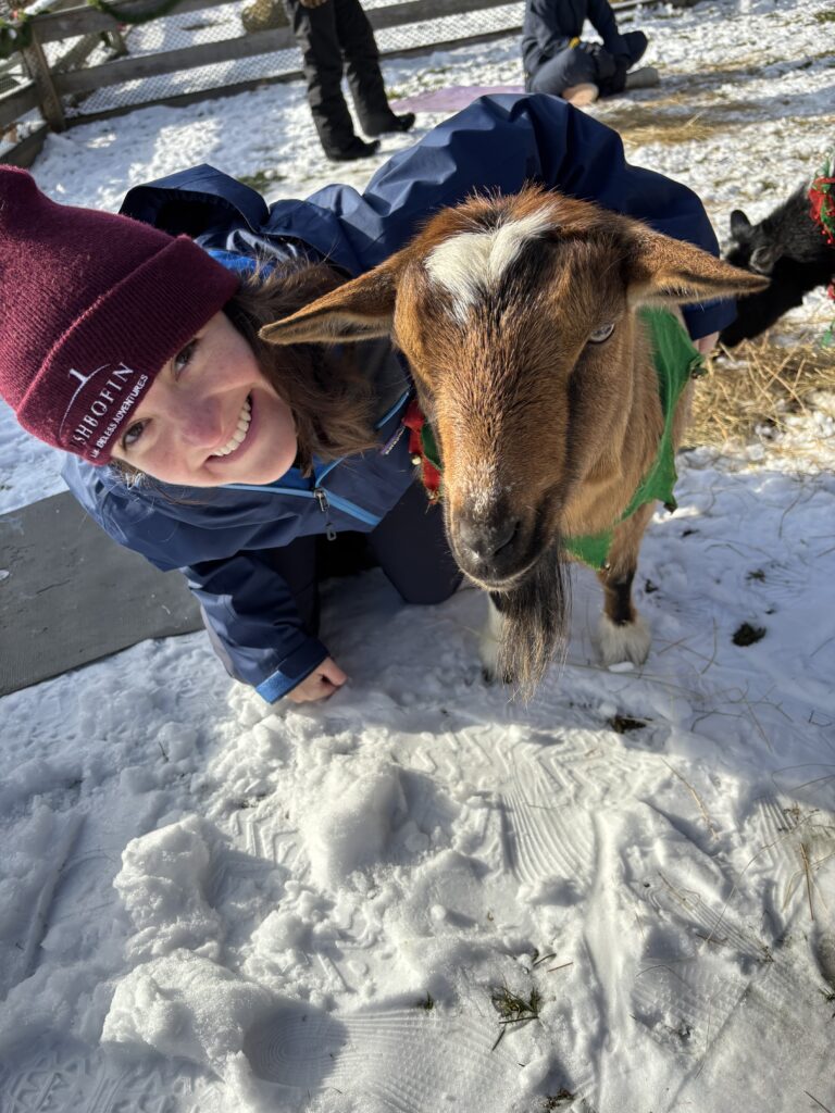 New Year's Day Goat Yoga Special - Photo Credit: Ashley Flowers Yoga New Year's Day Goat Yoga Special - Photo Credit: Ashley Flowers Yoga