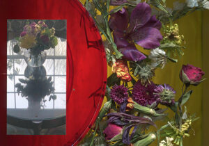 Future Phenomenology and MMPA - Photo Credit: James Mullen