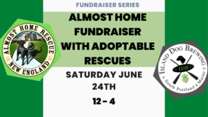 Almost Home Rescue Fundraiser - Photo Credit: Island Dog Brewing, Logo from Almost Home Rescue New England