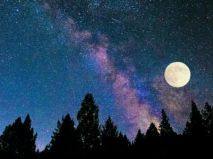 Full Moon Hike - Photo Courtesy of Pineland Farms