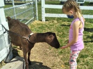 Farmyard Helper - Photo courtesy of Pineland Farms