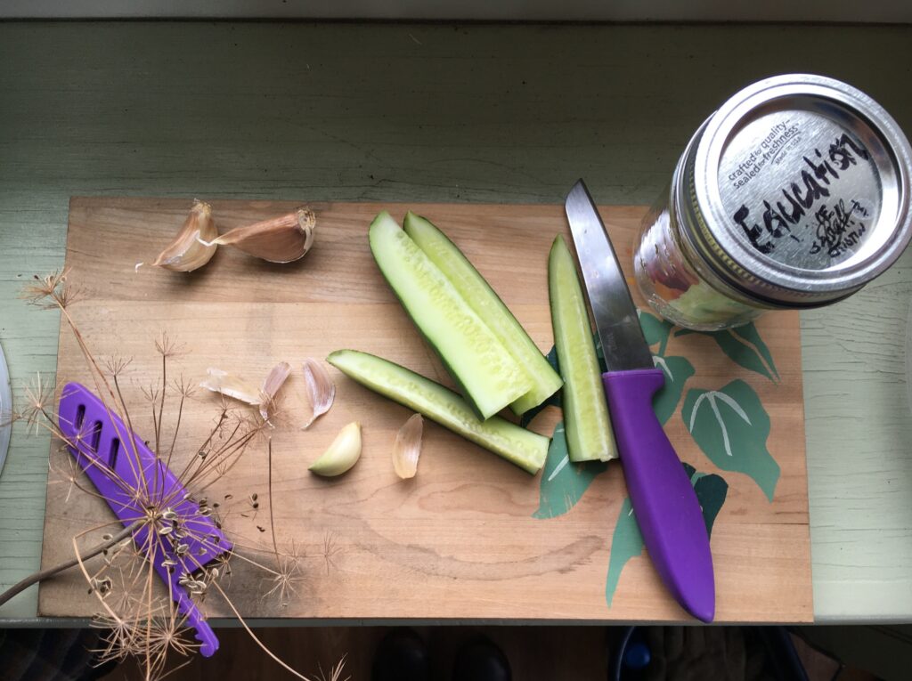 Pickling - Photo Courtesy of Pineland Farms