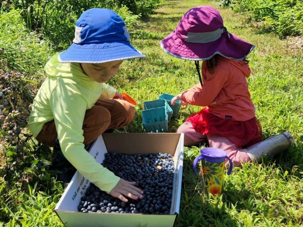 Play Days at Pineland -4-5 y/o - Photo Courtesy of Pineland Farms Play Days at Pineland -4-5 y/o - Photo Courtesy of Pineland Farms