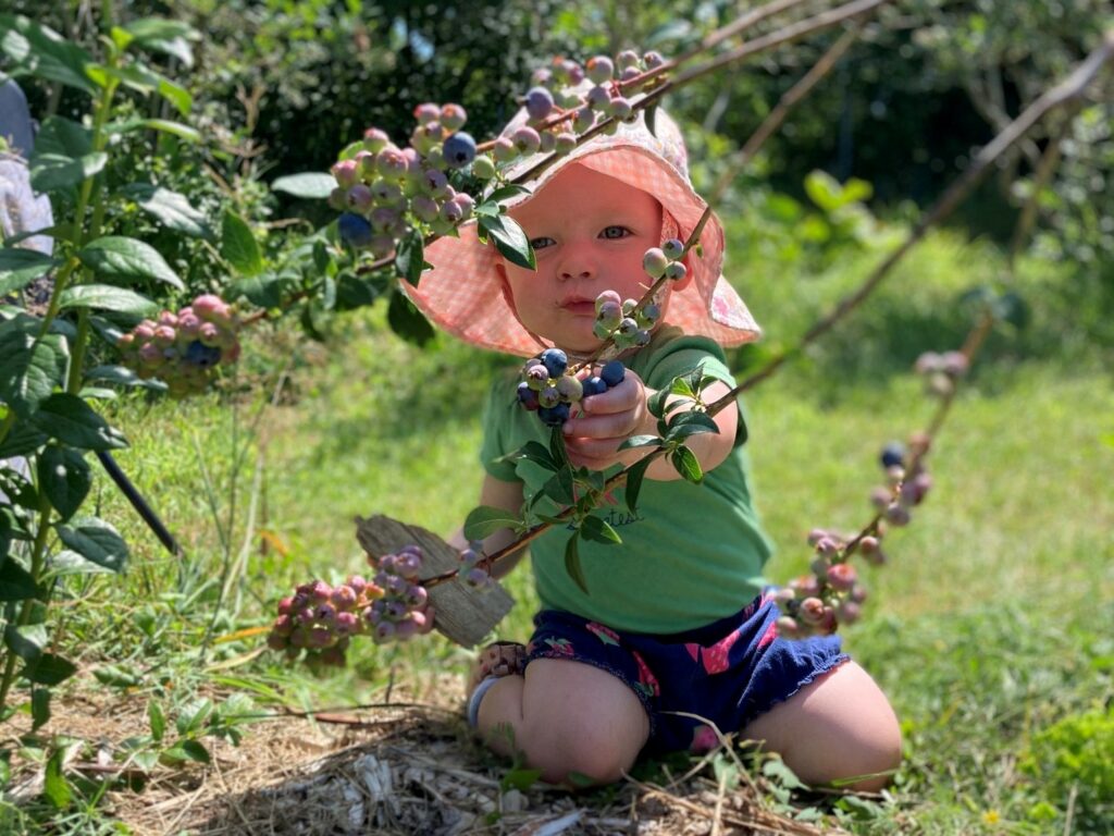 Play Days at Pineland -2-3 y/o - Photo Courtesy of Pineland Farms