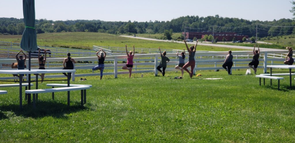 Outdoor Yoga at the Horse Farm - Photo Credit: Maine State Society for the Protection of Animals. Photo Courtesy of Ashley Flowers Yoga
