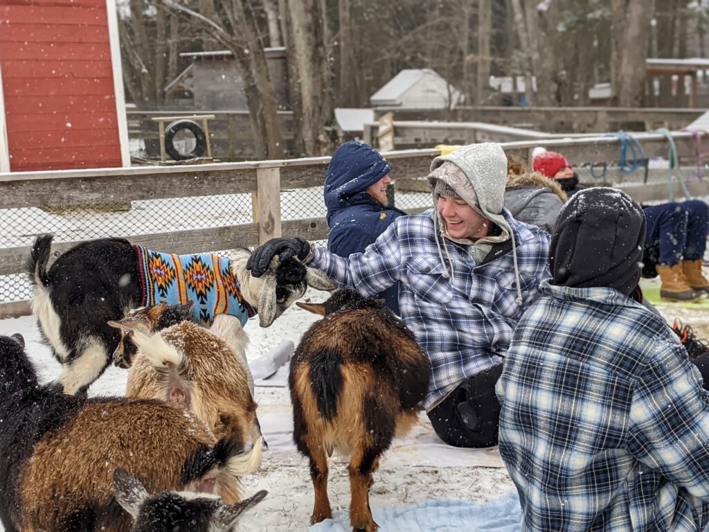 Goat Yoga - Fall + Winter - Photo Courtesy of Ashley Flowers Yoga