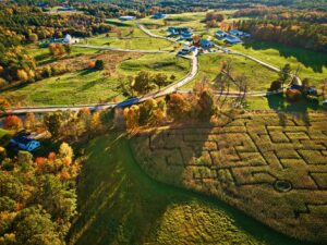 Corn Maze - Photo Credit: Pineland Farms