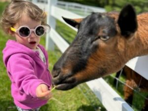 Family Farmyard Fun - Photo Courtesy of Pineland Farms