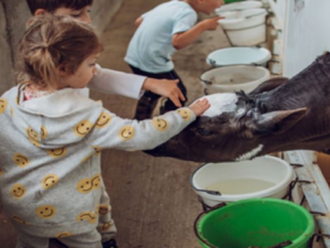 Friday Farmers - Photo Courtesy of Pineland Farms