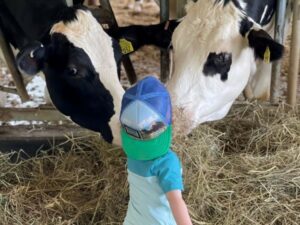 Udderly Amazing - Photo Courtesy of Pineland Farms