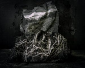 MMPA Artist Talks - Photo Credit: Suzanne Theodora White