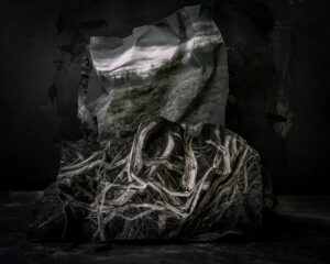 MMPA Opening Reception - Photo Credit: Suzanne Theodora White