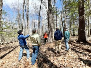 Reading the Forested Landscape - Photo Courtesy of Pineland Farms