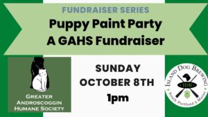 Crafty Pups paint party - Photo Credit: Logos by Greater Androscoggin Humane Society and Island Dog Brewing. Poster by Island Dog Brewing.