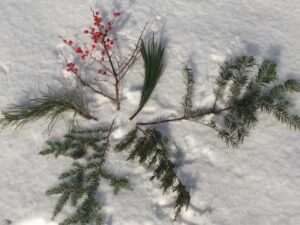 Holiday Balsam Balls - Photo Courtesy of Pineland Farms