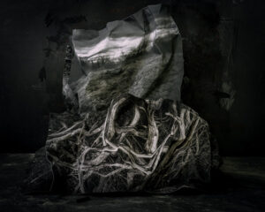 Gallery Talk at MMPA - Photo Credit: Suzanne Theodora White