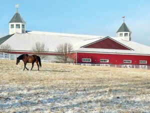 Afternoon at Equestrian Center - Photo Courtesy of Pineland Farms
