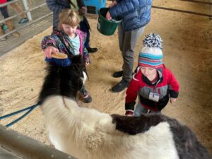 Farmyard Helper - Photo Courtesy of Pineland Farms