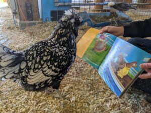 Farmyard Storytime - Photo Courtesy of Pineland Farms