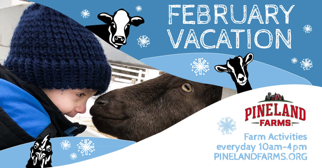 February Vacation Farm Pass - Photo Courtesy of Pineland Farms February Vacation Farm Pass - Photo Courtesy of Pineland Farms