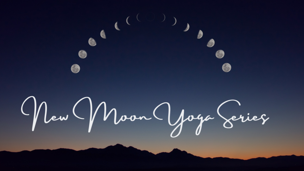 New Moon Yoga Series - Photo Courtesy of Ashley Flowers Yoga New Moon Yoga Series - Photo Courtesy of Ashley Flowers Yoga