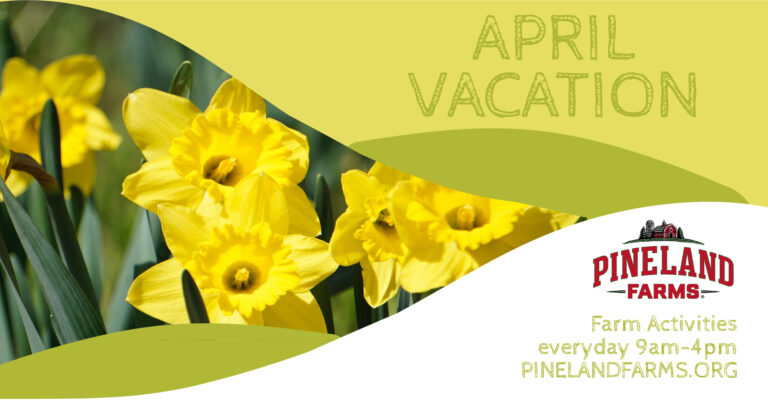 April Vacation - Photo Credit: Pineland Farms