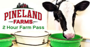 May 2-Hour Farm Pass - Photo Courtesy of Pineland Farms