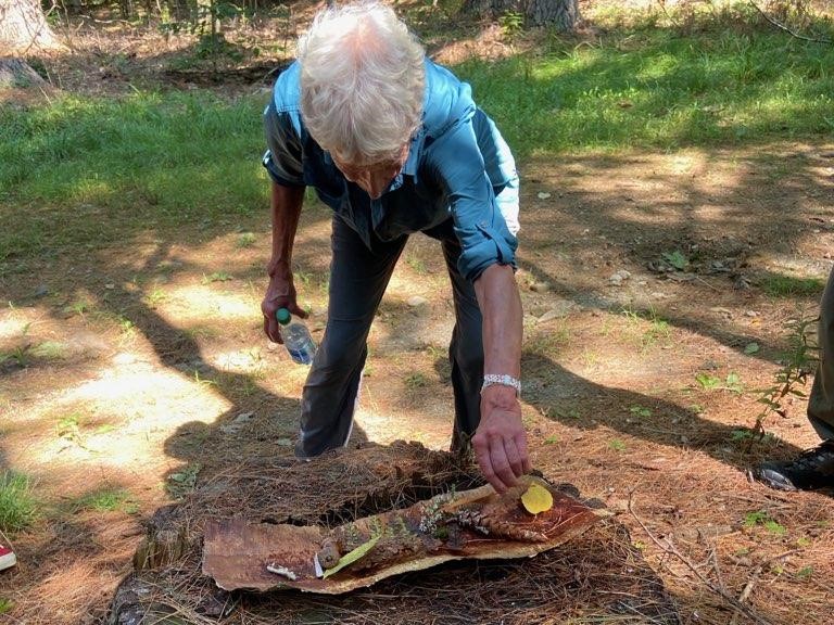 Forest Bathing – Photo Courtesy of Pineland Farms | Visit Portland