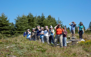 Birding w/ Eric & Casey Hynes - Photo courtesy of L.L. Bean Outdoor Discovery Programs