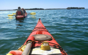 Sea Kayaking Skills 3 - Photo courtesy of L.L. Bean Outdoor Discovery Programs