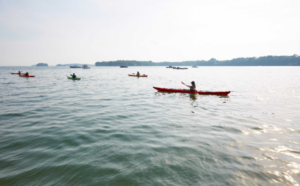 Guided Kayak Tour - Solo Kayak - Photo courtesy of L.L. Bean Outdoor Discovery Programs