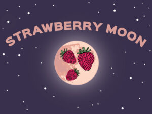 Strawberry Moon Celebration - Photo Courtesy of Pineland Farms