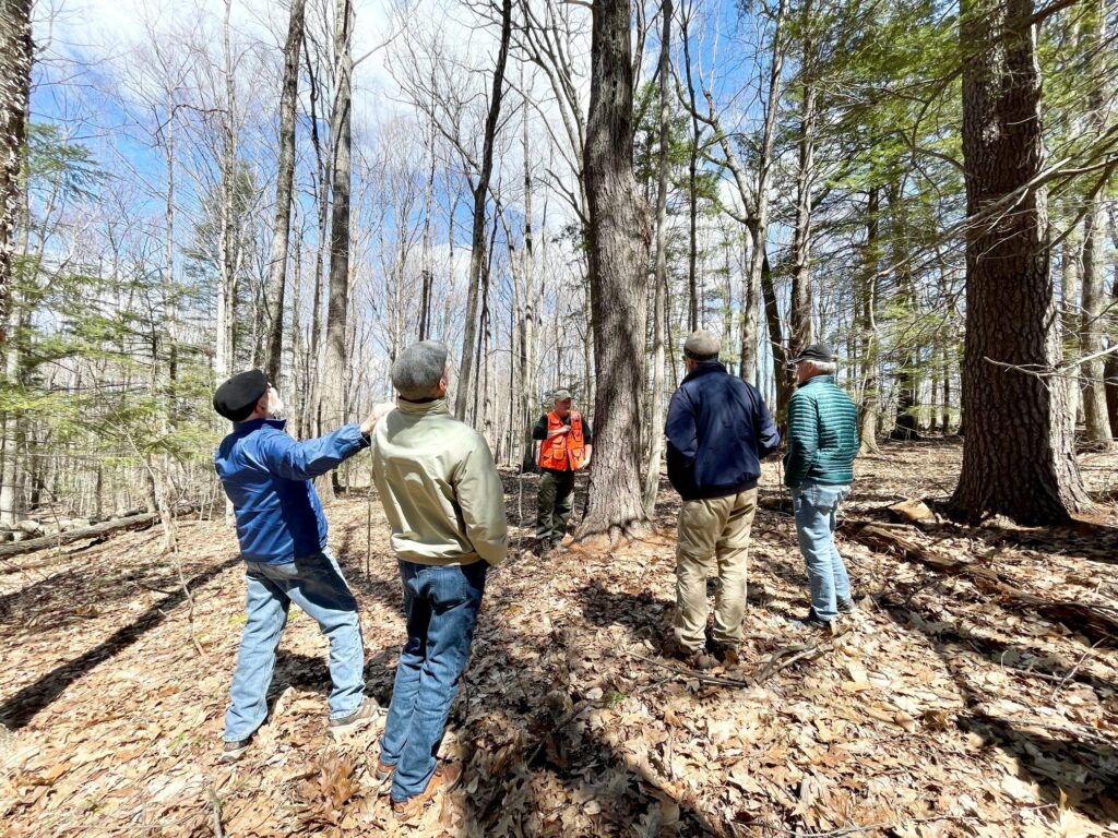 Reading the Forested Landscape - Photo Courtesy of Pineland Farms
