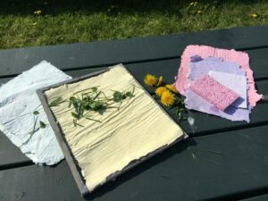 Adult Paper Making -Photo courtesy of Pineland Farms