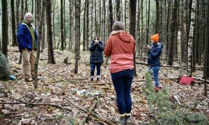 Nature Forest Therapy - Photo Credit: Pineland Farm
