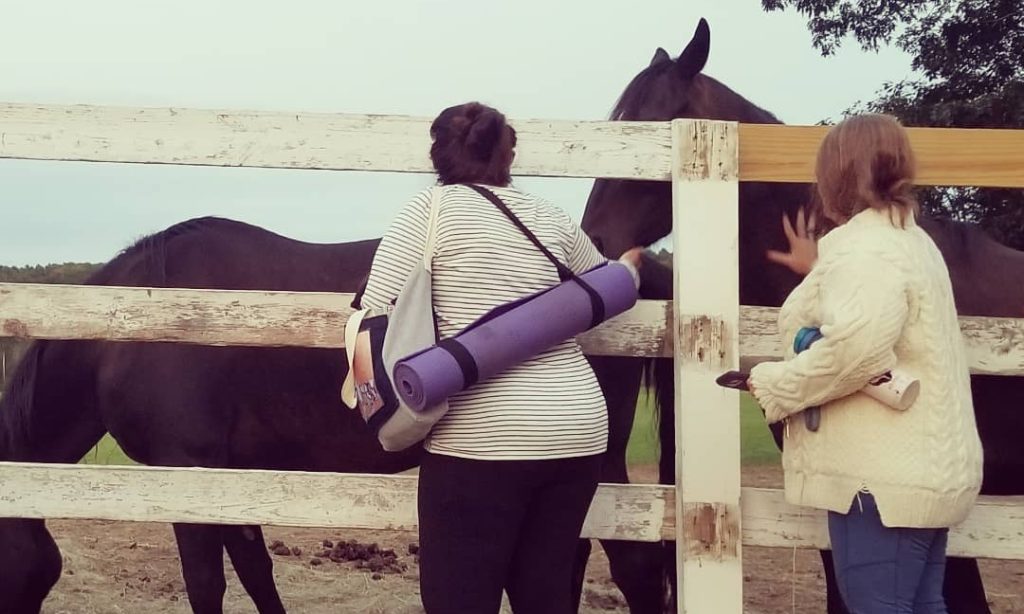 Outdoor Yoga @ the MSSPA - Photo Credit: Ashley Flowers Yoga/ Harmony with Horses