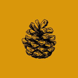 Songs from Here at The HAYLOFT - Photo Credit: The HAYLOFT