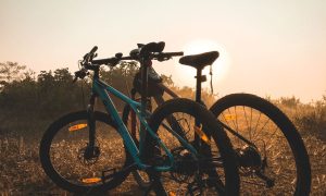 Bike Night - Photo Credit: Pineland Farm