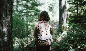 Women's Hike Night - Photo Credit: Pineland Farms