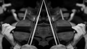 PCMF: Reflections - Photo Credit: Portland Chamber Music Festival