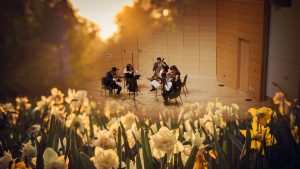 PCMF: Sonic Bloom - Photo Credit: Portland Chamber Music Festival