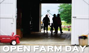 OPEN FARM DAY - Pineland Farms - Photo Credit: Pineland Farm